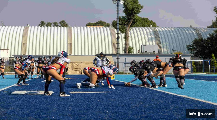 领略竞技宝首页